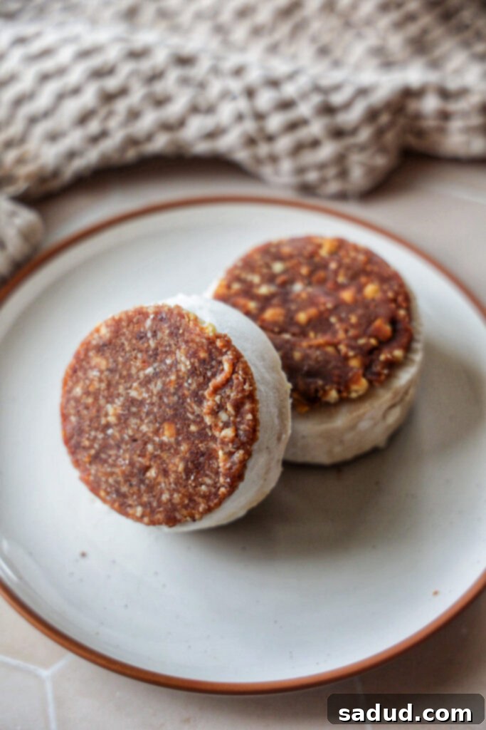 Frozen yogurt ice cream sandwiches