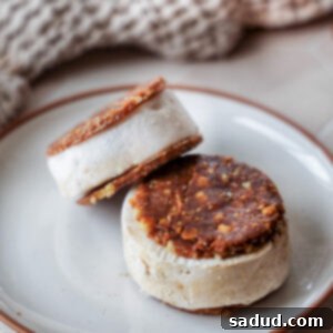 A healthy frozen yogurt ice cream sandwich on a plate.
