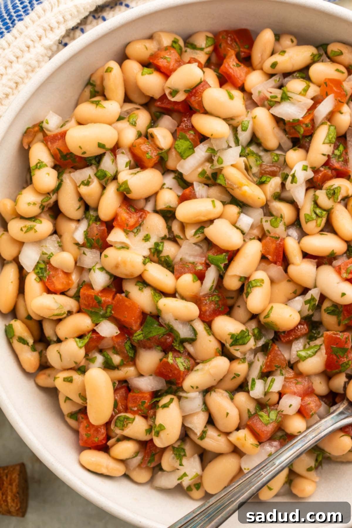Close-up of a large white bowl of white bean salad with onions, tomatoes, parsley, and a light vinaigrette, invitingly fresh and colorful.