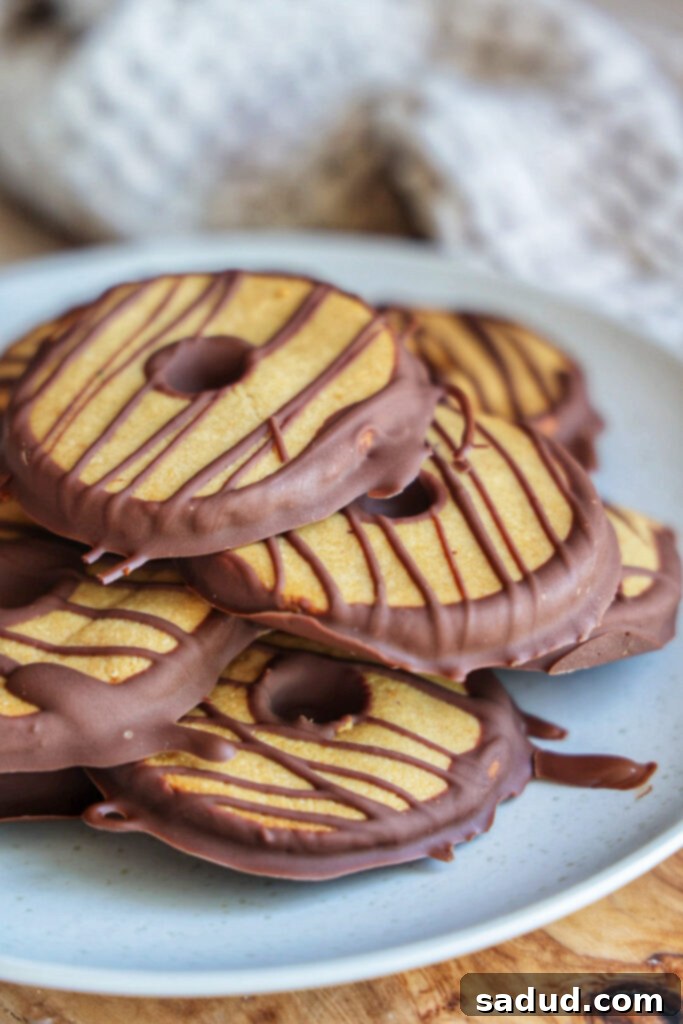 Effortless 3-Ingredient Fudge Stripe Cookies 3 A close-up shot of a single vegan fudge stripe cookie, highlighting its texture and chocolate detail.