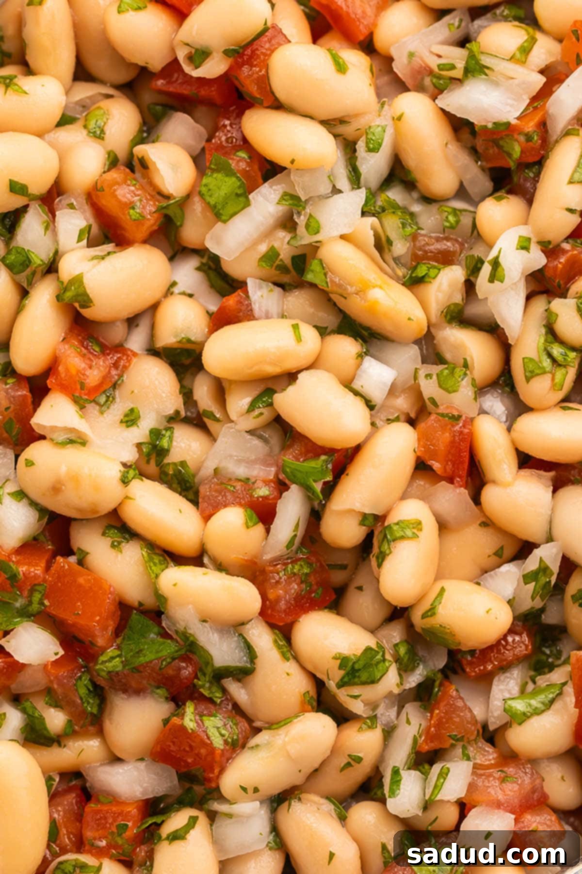 Close-up of a large white bowl of white bean salad, showing the vibrant red of tomatoes and green of parsley against the white beans.
