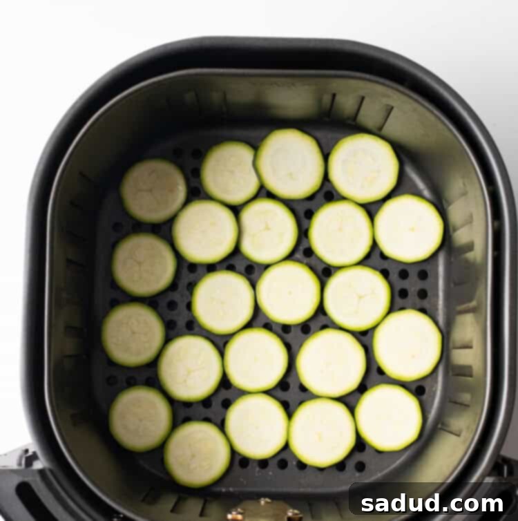 Zucchini chips neatly arranged in an air fryer basket before cooking