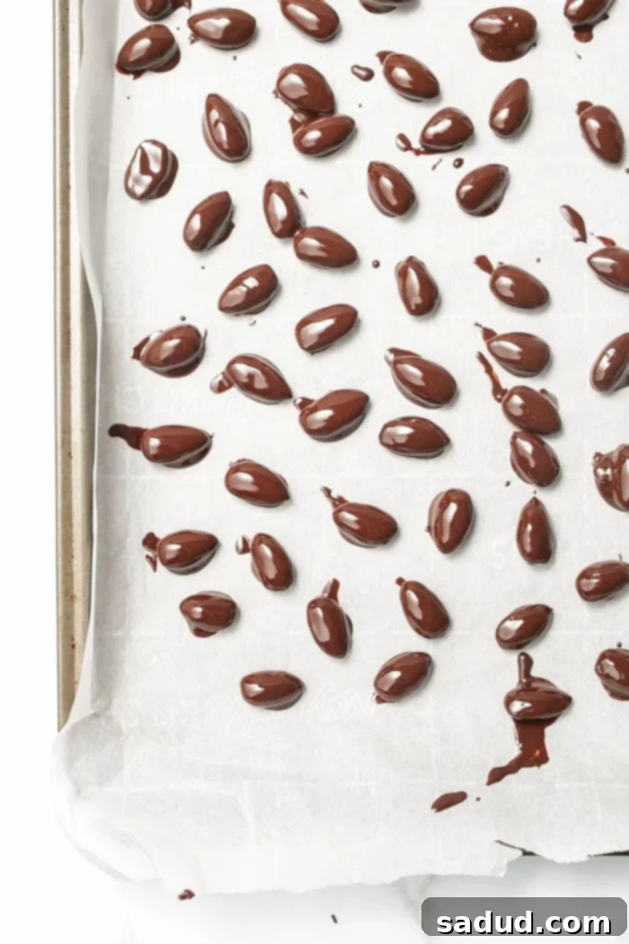 Chocolate covered almonds chilling in the freezer on a baking sheet.
