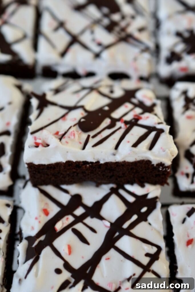 A plate of gluten-free peppermint brownies topped with whipped cream and crushed candy canes, ready to be served.