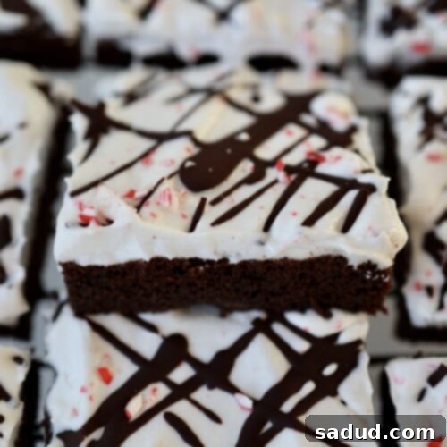A plate of peppermint brownies topped with whipped cream and crushed candy canes.