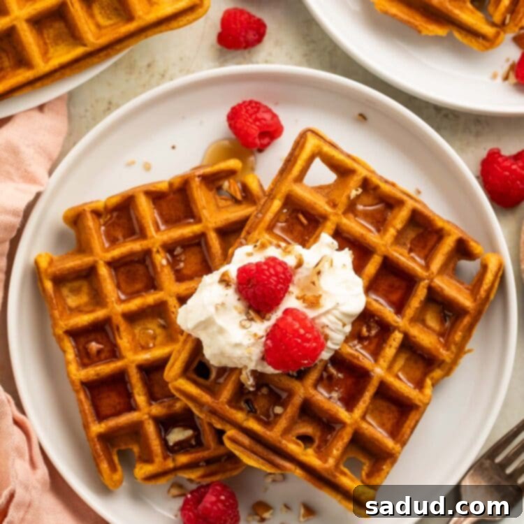 Two square sweet potato waffles topped with whipped cream and raspberries on a white plate, showcasing a delightful breakfast.