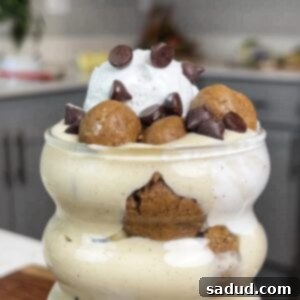 Delicious Vegan Cookie Dough Protein Smoothie topped with coconut whip and chocolate chips.