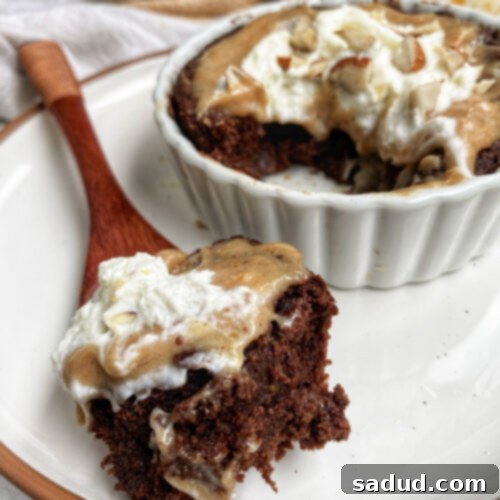 Fudgy Healthy Brownie Mug Cake