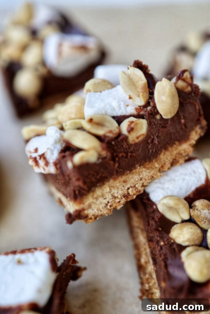 A close-up of a single peanut butter s'mores bar, showing the texture and toppings.