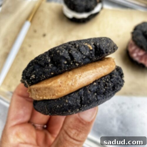A plate of freshly baked peanut butter stuffed Oreos, ready to be served.