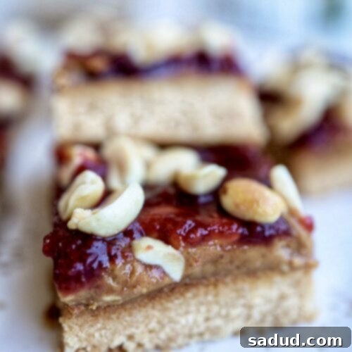 Easy Vegan Peanut Butter and Jelly Bars 3 Delicious Vegan Peanut Butter and Jelly Bars