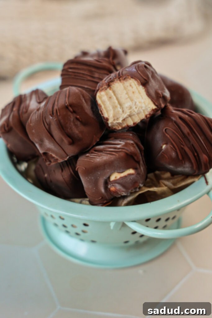 Creamy vegan ice cream protein bites, gluten-free, refined sugar-free, and made with whole foods.