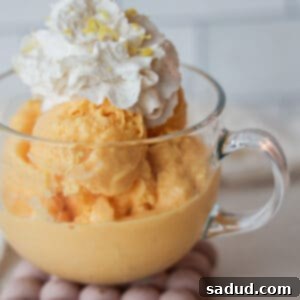 2 ingredient orange sorbet