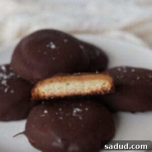 Homemade Tagalong Cookies - A close-up of a stack of healthy, gluten-free, and vegan peanut butter patties.