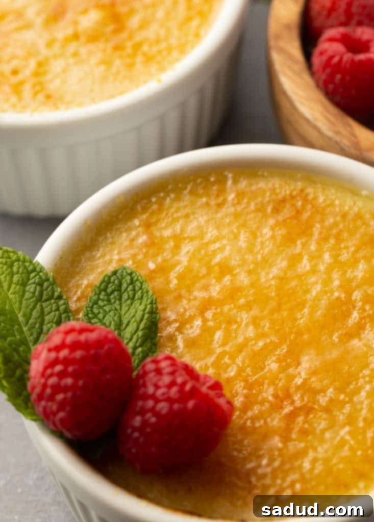 Vegan creme brulee in a white ramekin with a raspberry garnish, showcasing its creamy texture and caramelized top.