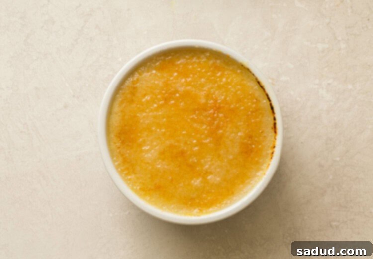 Finished vegan creme brulee in a small ramekin, with a perfectly caramelized top