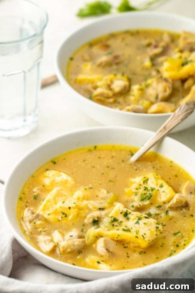 Two aesthetically arranged bowls of keto chicken and dumplings, beautifully garnished with fresh thyme, resting on a rustic wooden background, inviting a cozy meal.