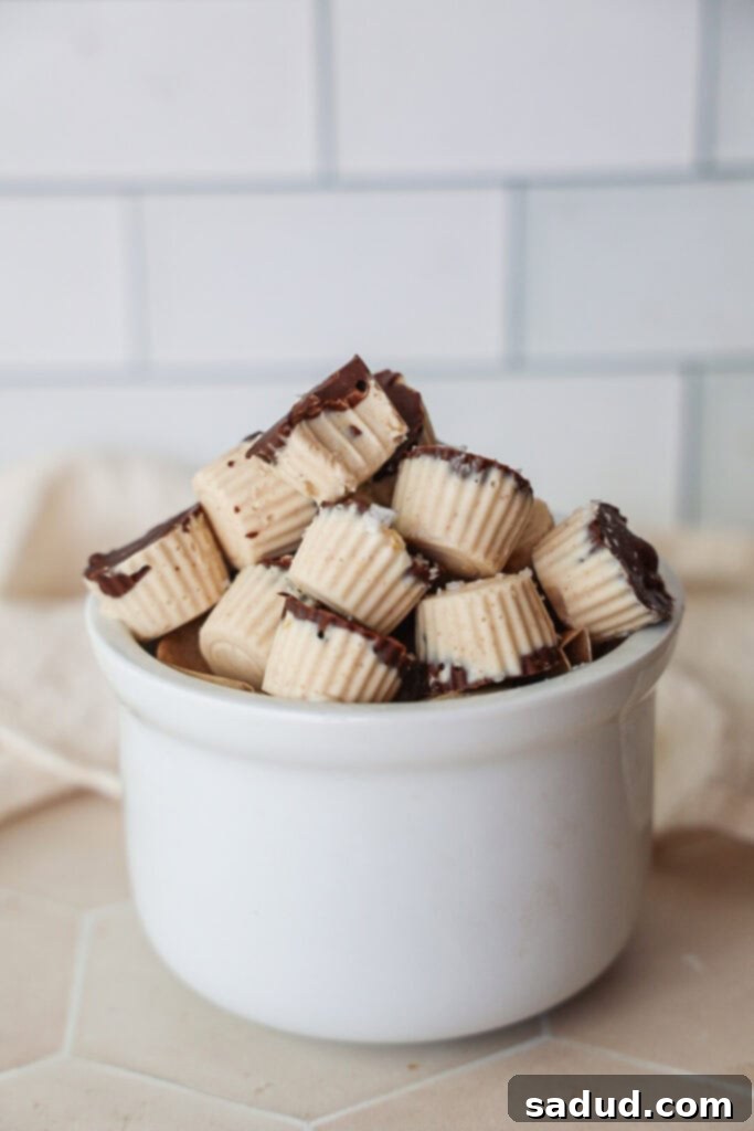 A beautifully arranged plate of chocolate-covered frozen yogurt bites, ready to be enjoyed.