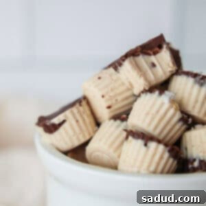 Close-up of frozen yogurt bites with chocolate coating.