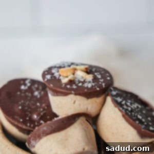 Peanut Butter Yogurt Bites - a close-up image of the finished snack
