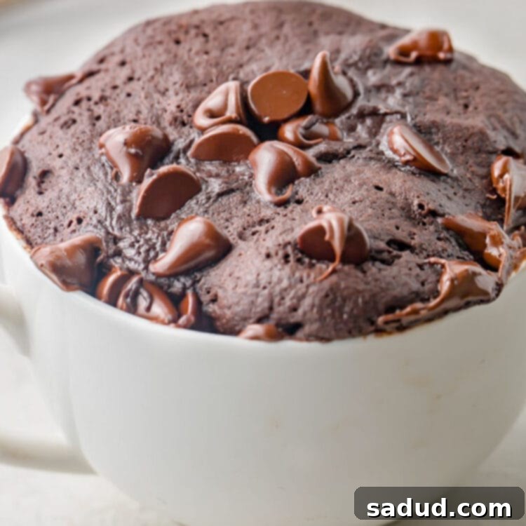 Side view of a gluten-free chocolate mug cake in a white coffee mug, perfectly baked and ready to serve.