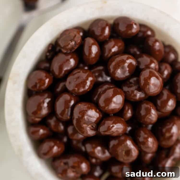 Decadent Espresso Chocolate Bites 4 Chocolate covered espresso beans in a small white bowl next to a silver spoon