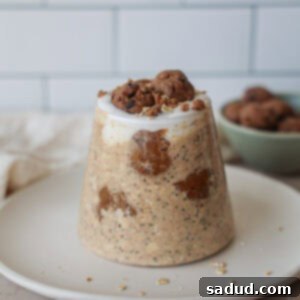Oatmeal Cookie Dough Overnight Oats