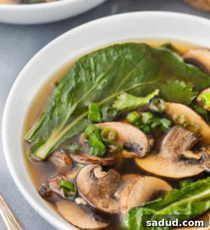 Close up angle photo of a bowl of steaming Chinese vegetable soup garnished with fresh herbs and a hint of steam rising.