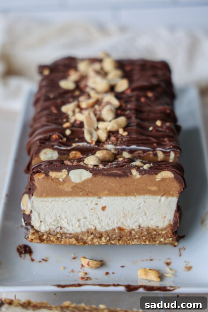 Decadent Dairy-free, vegan, no-bake peanut butter chocolate ice cream cake, sliced and ready to serve.