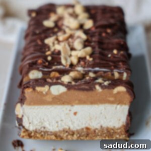 Healthy Vegan No-Bake Snickers Ice Cream Cake
