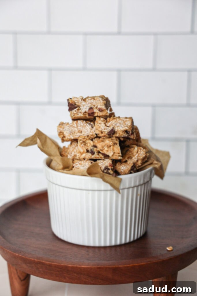 Healthy oatmeal chocolate chip energy bites.
