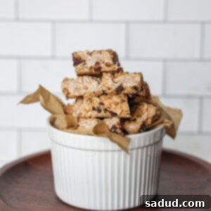 Oatmeal Chocolate Chip Bites