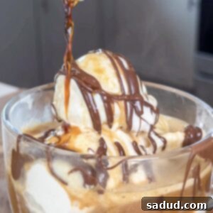 Protein Rich Vegan Affogato Homemade 5 A close-up of a delicious vegan high-protein affogato with chocolate drizzle.