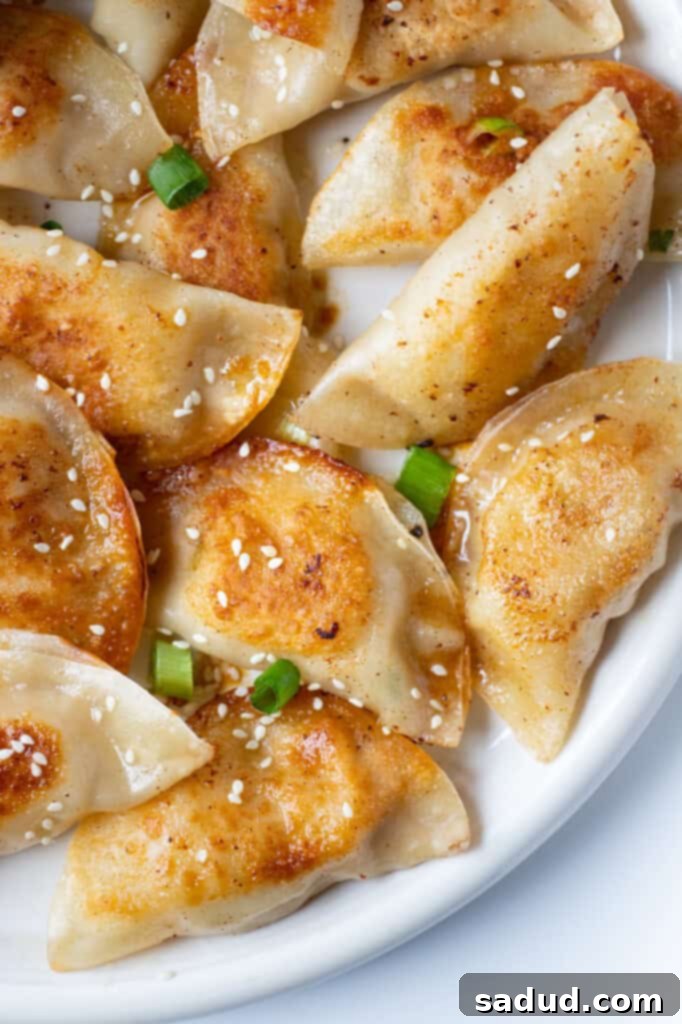 Chicken gyoza close up, showing crispy bottom and tender filling, ready to be enjoyed with a side of gyoza sauce.