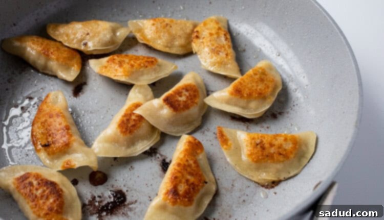 Pan fried chicken gyoza