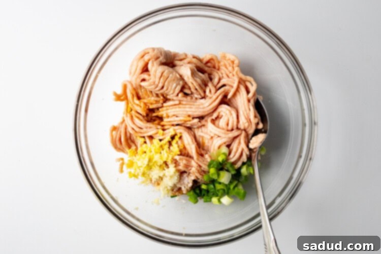 Ingredients for chicken gyoza in a large glass mixing bowl