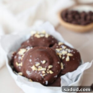 A close-up of a pumpkin spice yogurt bite covered in chocolate, garnished with pecans.