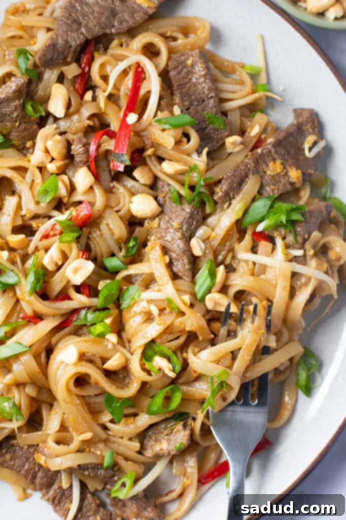 Sweet and Savory Beef Pad Thai 2 Close up photo of beef pad thai in a white bowl, garnished with peanuts and scallions