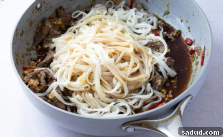 Noodles and pad Thai sauce in large skillet with beef and red chilis