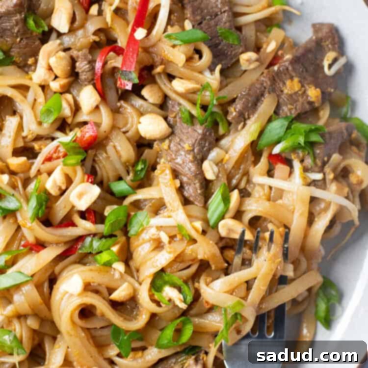 Sweet and Savory Beef Pad Thai 4 Close up photo of beef pad thai