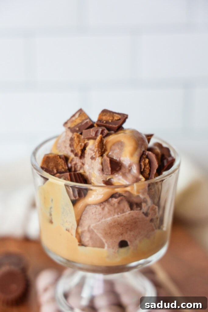 Close-up of the vegan protein peanut butter cup ice cream base ingredients ready to be blended.