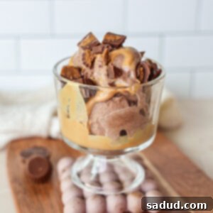 A scoop of vegan peanut butter cup ice cream topped with peanut butter magic shell and a whole peanut butter cup.