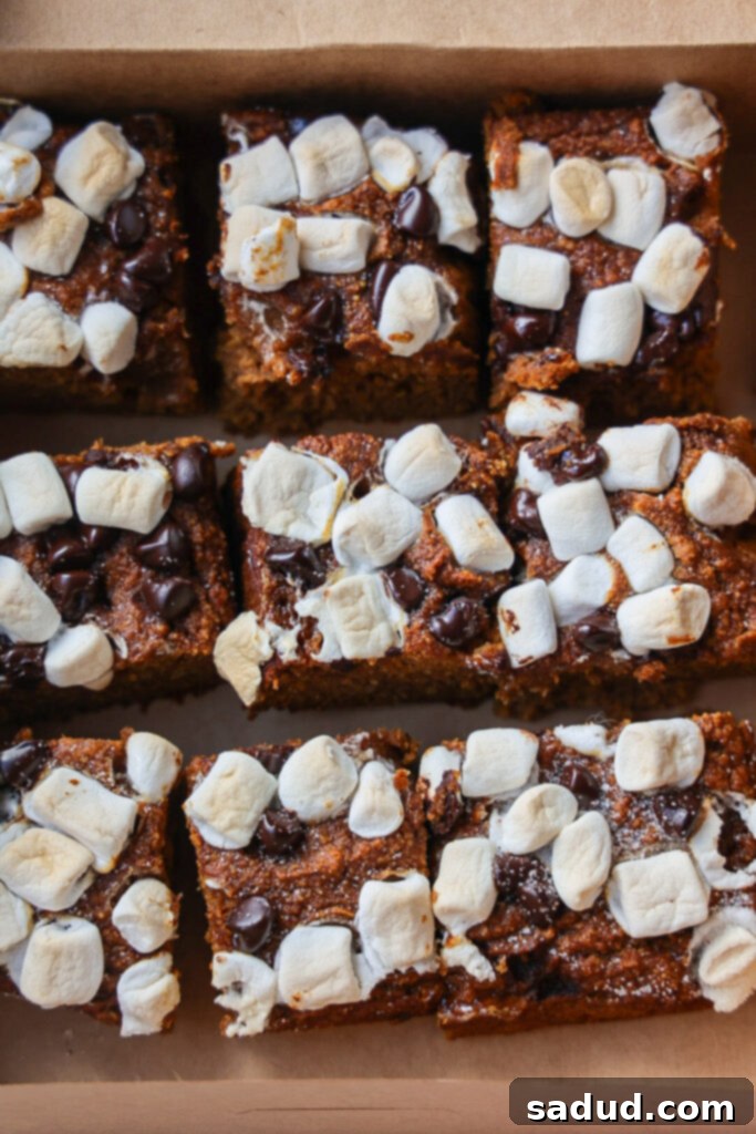 15 Nourishing Pumpkin Dishes 15 Healthy pumpkin recipes - healthy pumpkin s'mores bars (gluten-free) with toasted marshmallows and chocolate.