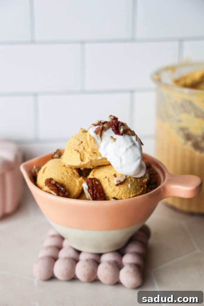 15 Nourishing Pumpkin Dishes 8 Vegan ninja creami pumpkin ice cream in a bowl, topped with whipped cream and cinnamon.