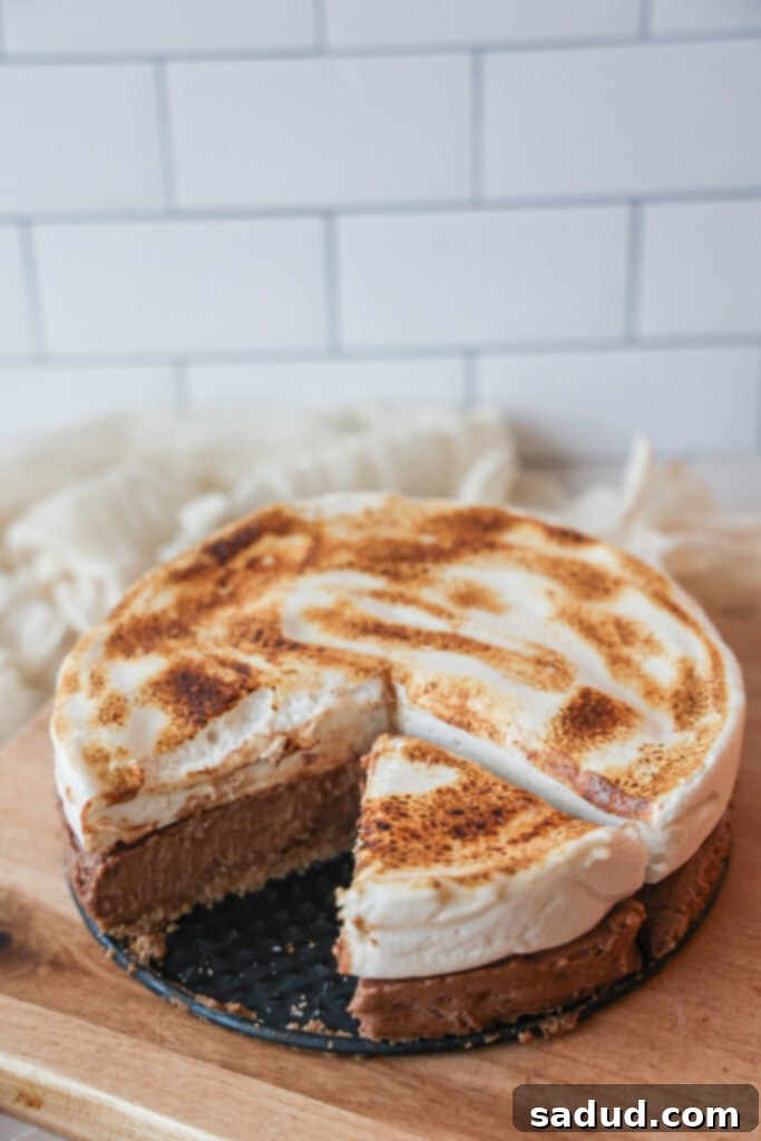 Easy S'mores tart ingredients laid out, including cookies, chocolate chips, and coconut cream.