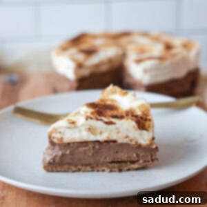 Delicious and healthy S'mores Tart with a toasted marshmallow topping.