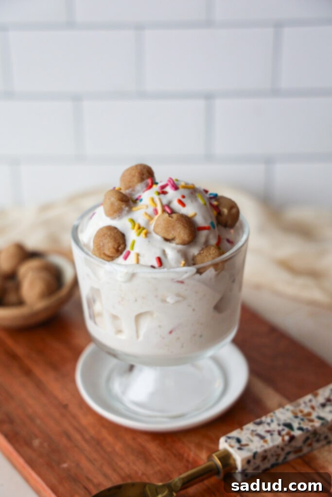 Healthy Sugar Cookie Blizzard