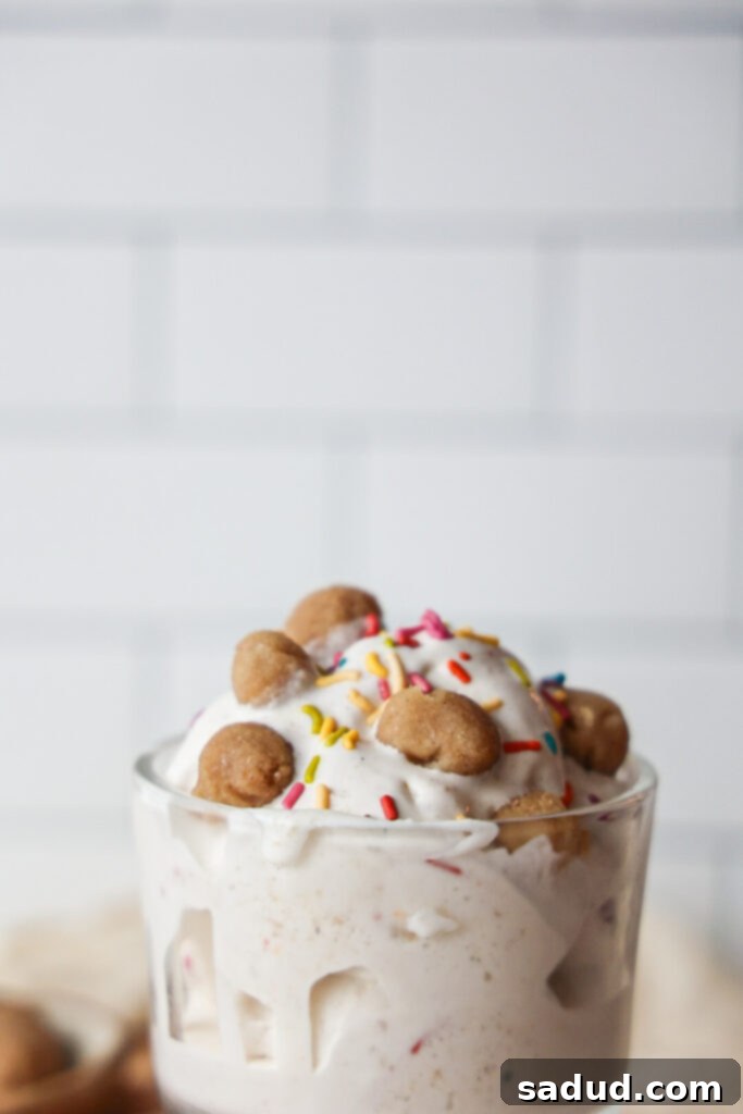 Healthy Sugar Cookie Blizzard