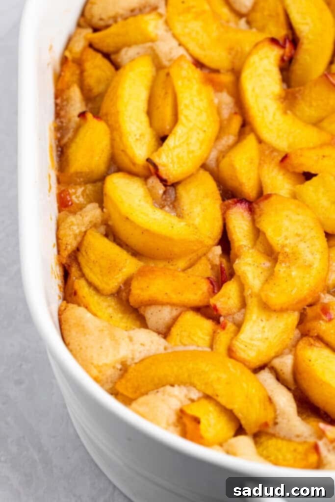 A golden-brown vegan peach cobbler in a rectangular baking dish, showcasing its bubbly peach filling and crispy crust.