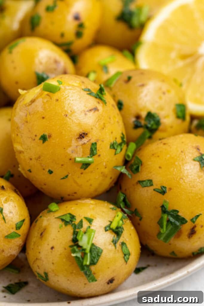 Aromatic Herbed Steamed Potatoes 2 Close-up image of beautifully steamed baby potatoes on a plate, garnished with fresh herbs and a lemon wedge, highlighting their soft, buttery texture.